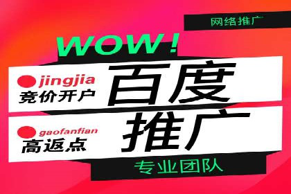 竞价代运营助力品牌崛起案例