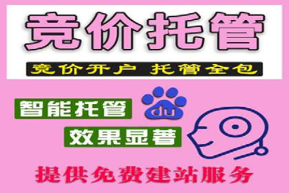 探索sem推广竞价的无限可能：成功案例集锦